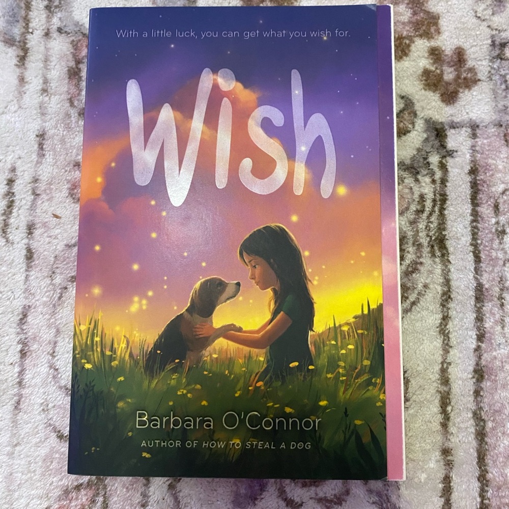 Wish by Barbara O'Connor Book